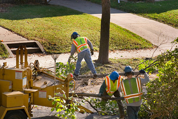 Landscape Design and Installation in West University Place, TX